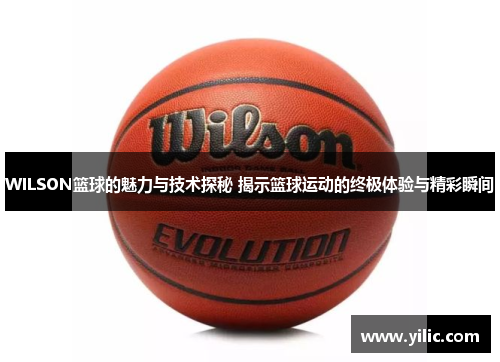 WILSON篮球的魅力与技术探秘 揭示篮球运动的终极体验与精彩瞬间